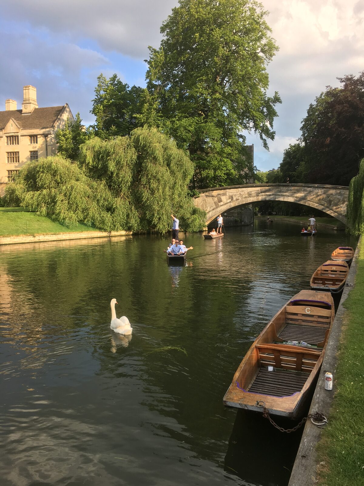 Punting on the Cam
